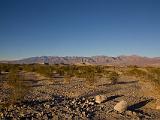 Death Valley 006 : Vermont Canoe Spring